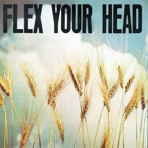 FLEX YOUR HEAD / VARIOUS