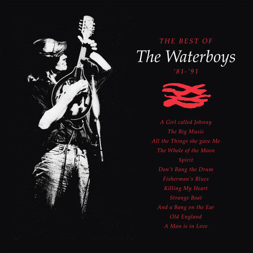 WATERBOYS - BEST OF THE WATERBOYS 81-90 Vinyl LP