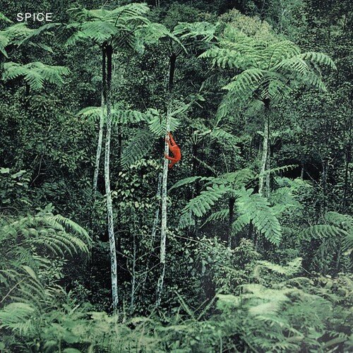 SPICE - GREY