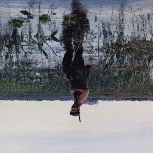 ANIMAL DROWNING