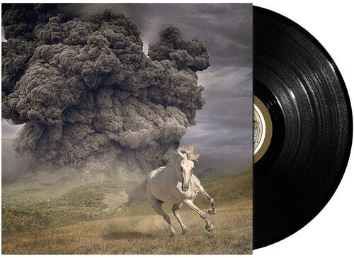 YEAR OF THE DARK HORSE