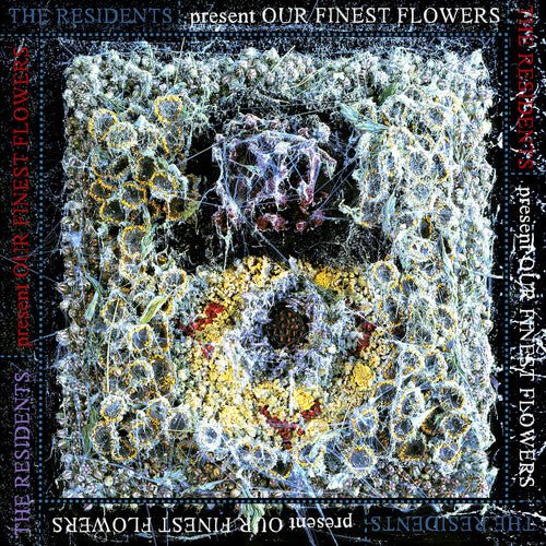 OUR FINEST FLOWERS