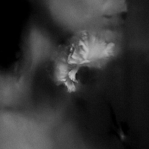 HOLDING ABSENCE - CLEAR W/ BLACK SPLATTER