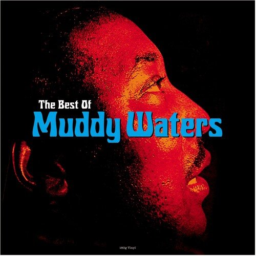 BEST OF MUDDY WATERS