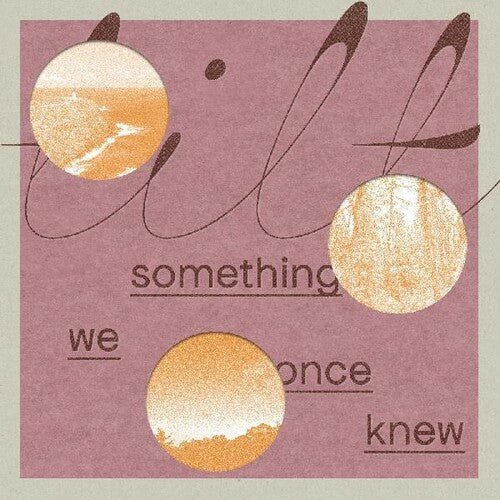 SOMETHING WE ONCE KNEW