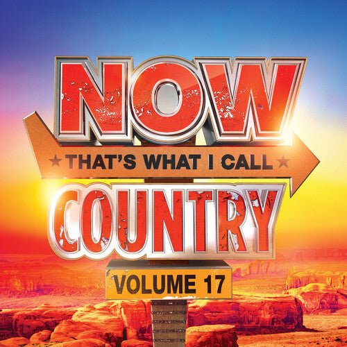 NOW COUNTRY 17 / VARIOUS