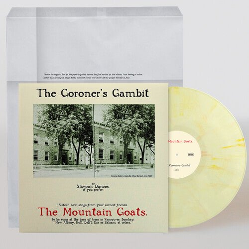 CORONER'S GAMBIT - KANDY KORN HYBRID YELLOW