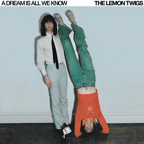LEMON TWIGS - DREAM IS ALL WE KNOW Vinyl LP – Experience Vinyl