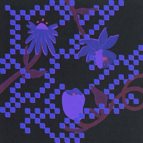 INTO THE BURNING BLUE