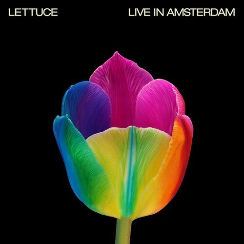 LIVE IN AMSTERDAM
