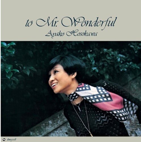 MR. WONDERFUL