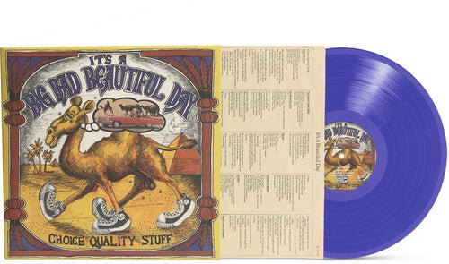CHOICE QUALITY STUFF/ANYTIME - PURPLE