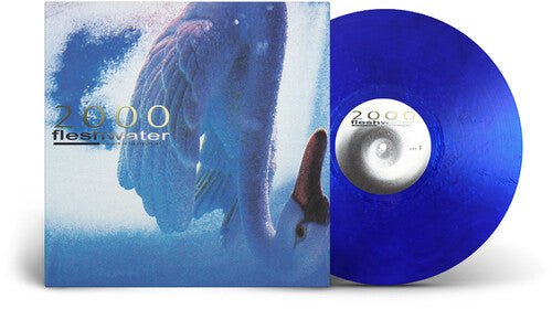 2000: IN SEARCH OF THE ENDLESS SKY