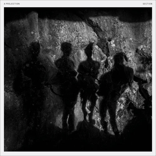 SECTION