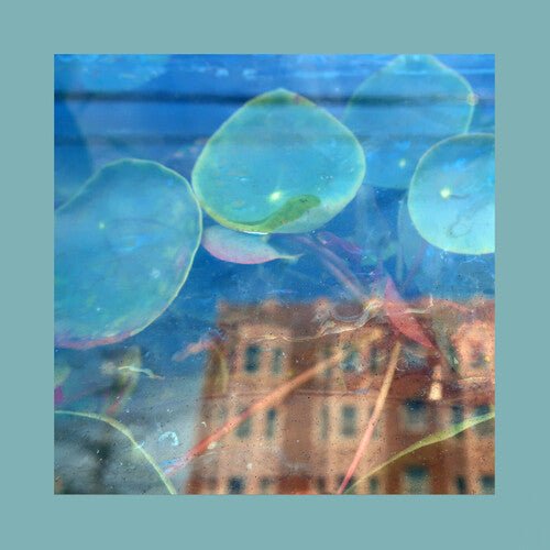 ACKNOWLEDGE KINDNESS (IEX) - SUBCONSCIOUS WINDOW