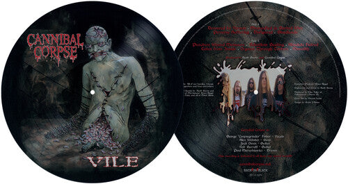 VILE - PICTURE DISC - PICTURE DISC