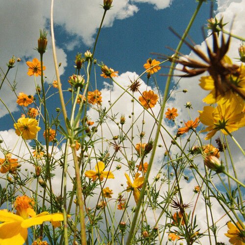 YOU ARE SPRING - YELLOW