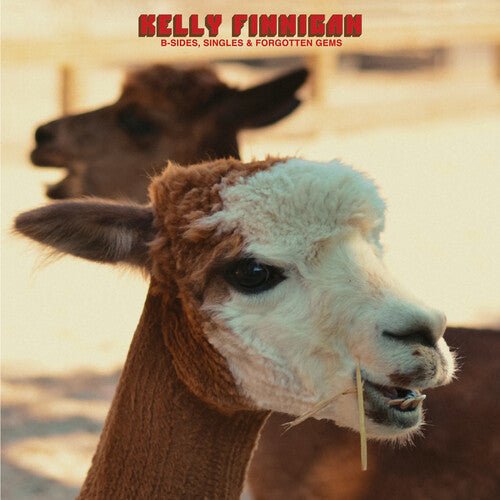 B-SIDES SINGLES & FORGOTTEN GEMS