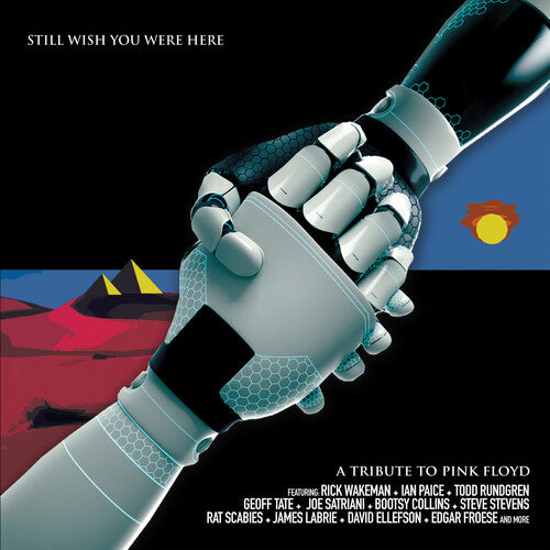 STILL WISH YOU WERE HERE: TRIBUTE TO PINK / VAR