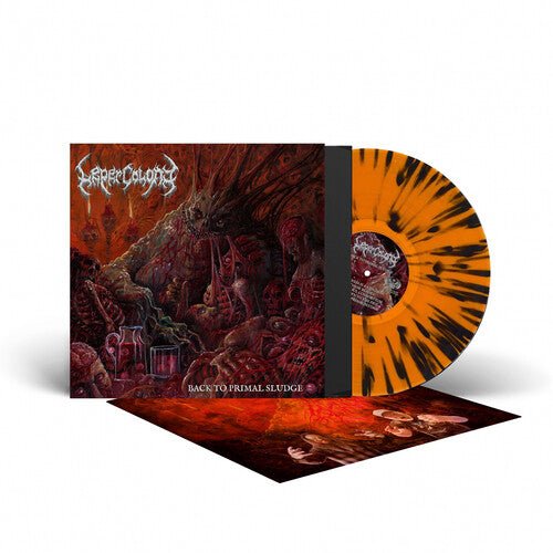 BACK TO PRIMAL SLUDGE - ORANGE/BLACK