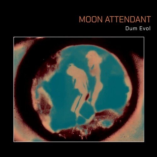 DUM EVOL