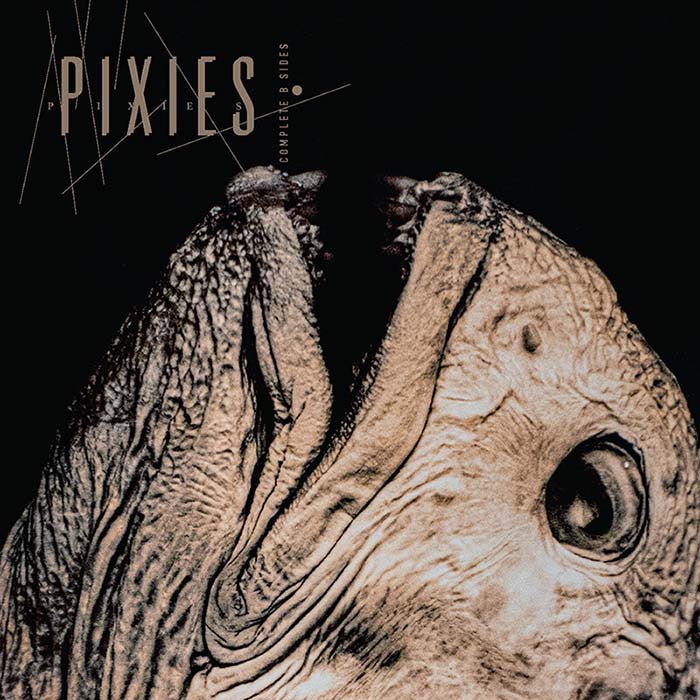 PIXIES - COMPLETE B SIDES: 1988-97 CLEAR Vinyl LP