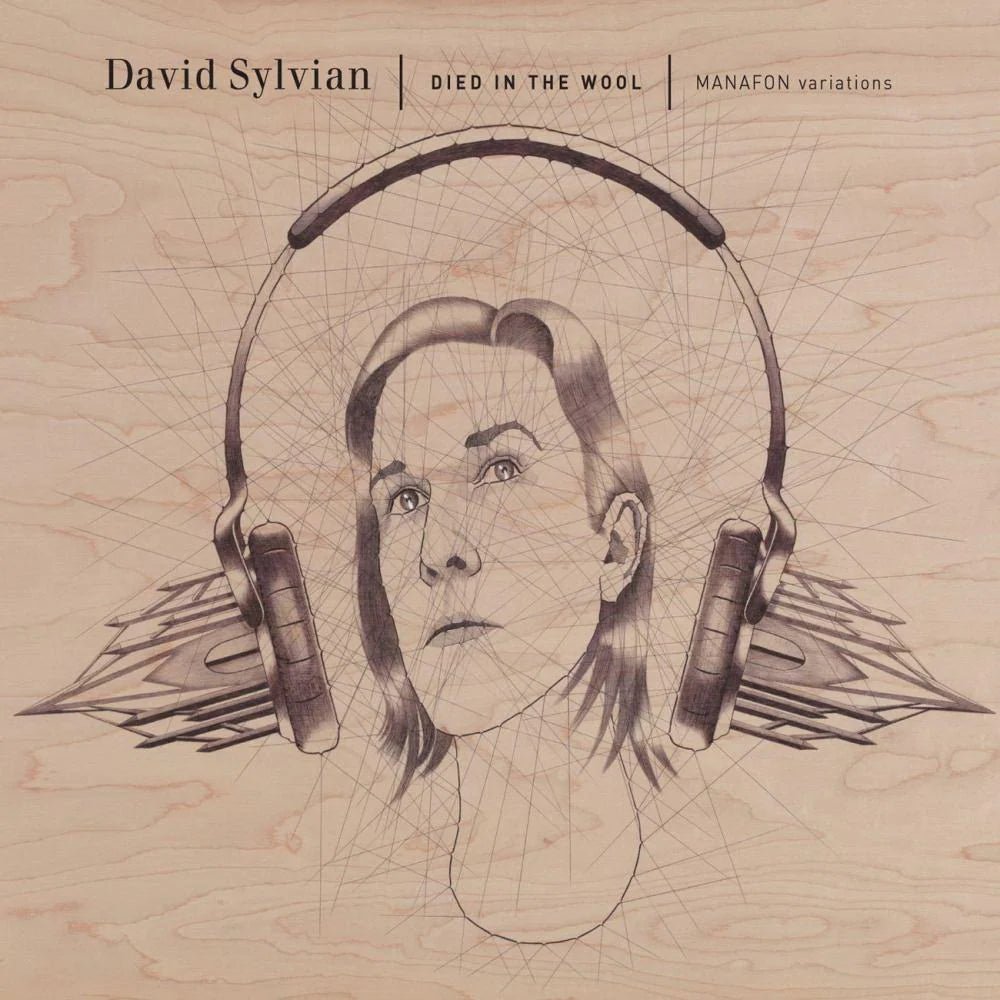 SYLVIAN,DAVID - DIED IN THE WOOL (MANAFON VARIATIONS) Vinyl LP