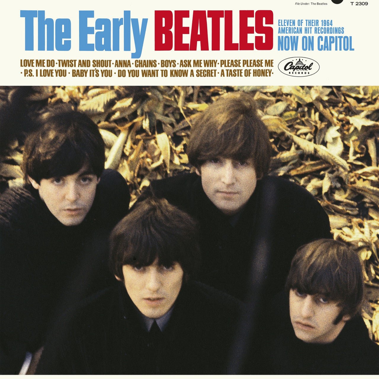BEATLES - EARLY BEATLES Vinyl LP