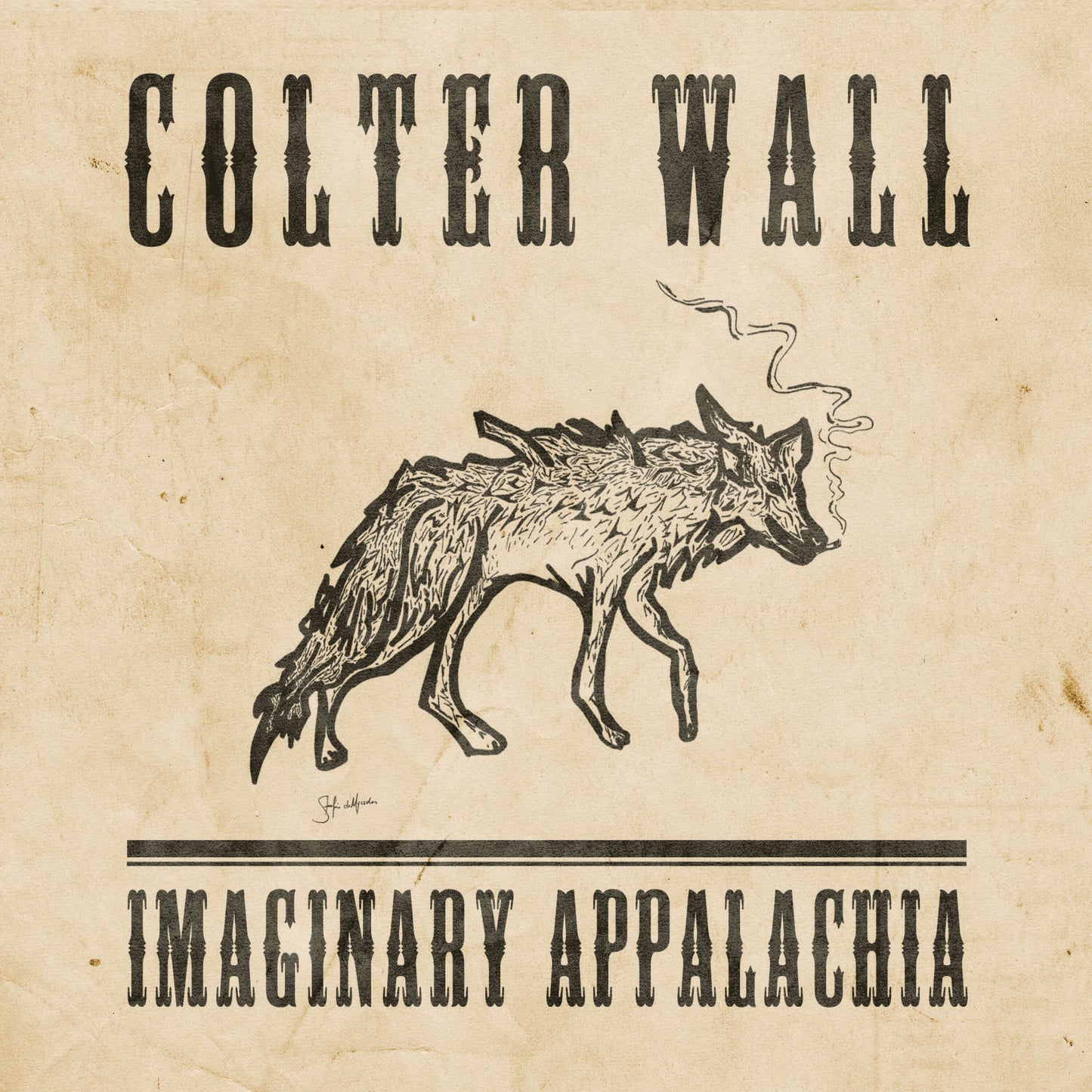 WALL,COLTER - IMAGINARY APPALACHIA Vinyl LP