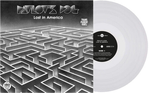 LOST IN AMERICA