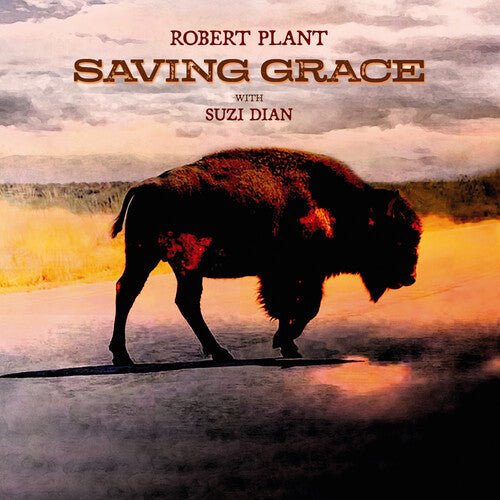 PLANT,ROBERT - SAVING GRACE Vinyl LP