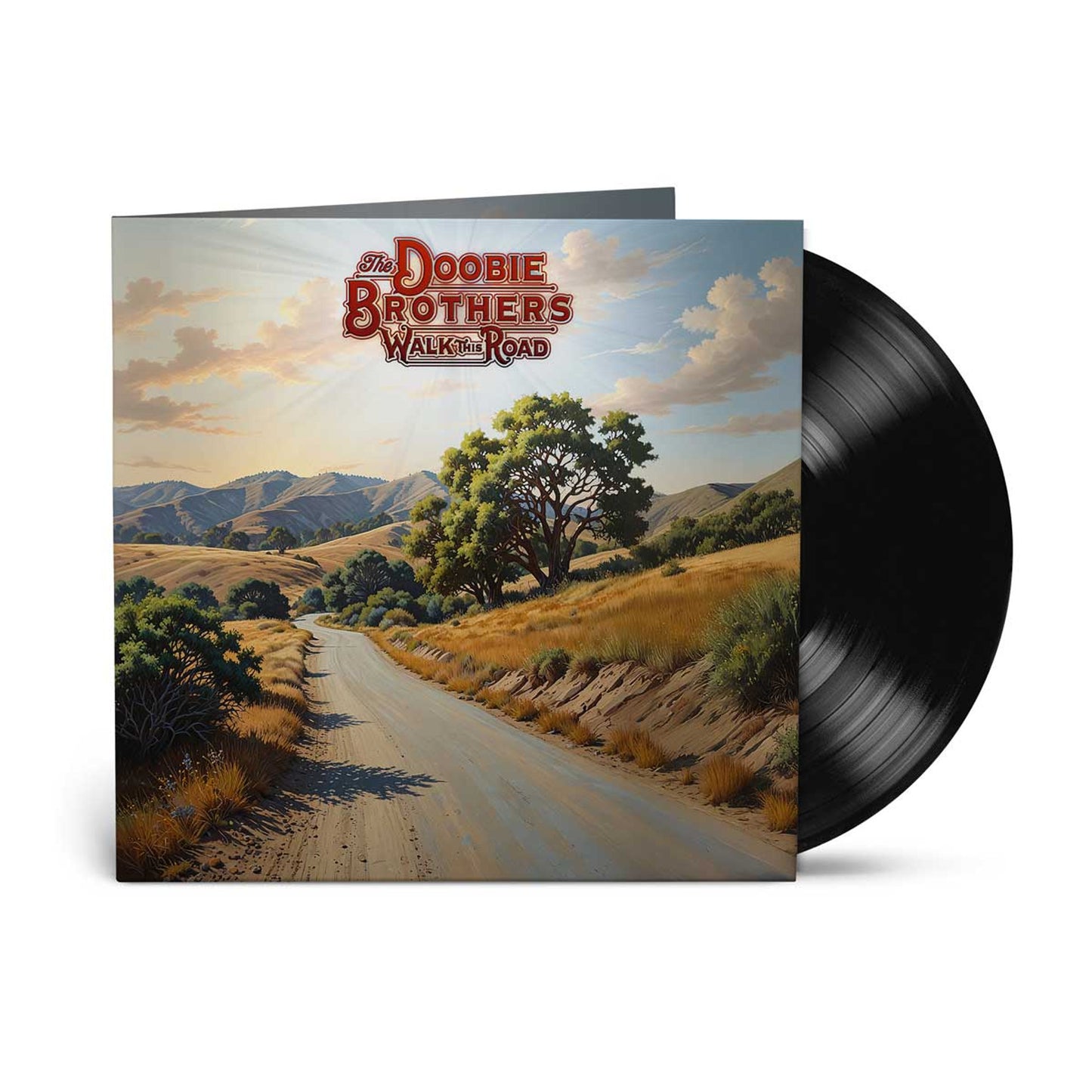 DOOBIE BROTHERS - WALK THIS ROAD Vinyl LP