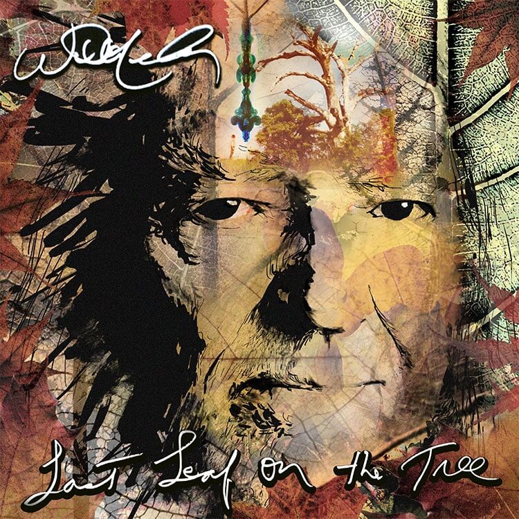 NELSON,WILLIE - LAST LEAF ON THE TREE Vinyl LP