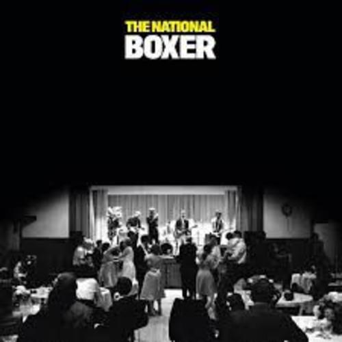 BOXER