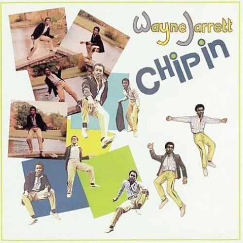CHIPIN