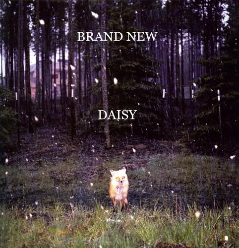 DAISY