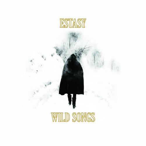 WILD SONGS