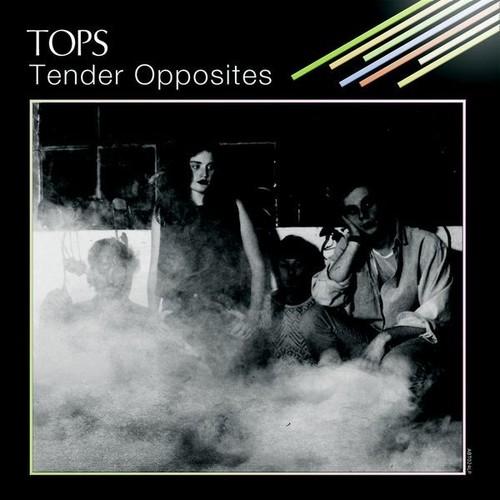 TENDER OPPOSITES