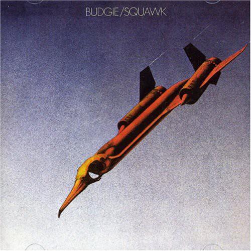 SQUAWK