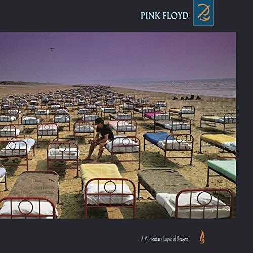MOMENTARY LAPSE OF REASON