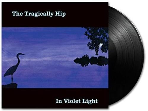 IN VIOLET LIGHT