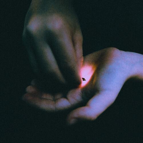 STRAY