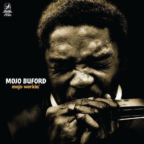 MOJO WORKIN