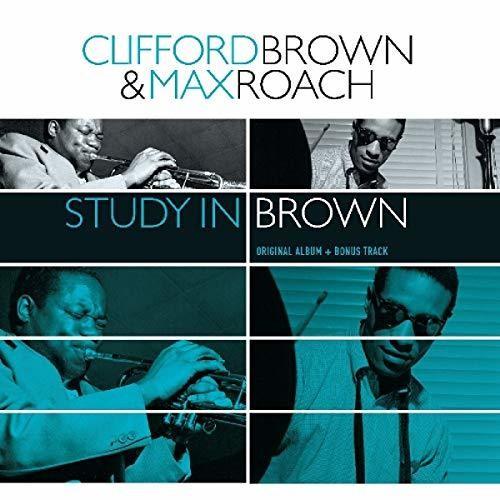STUDY IN BROWN