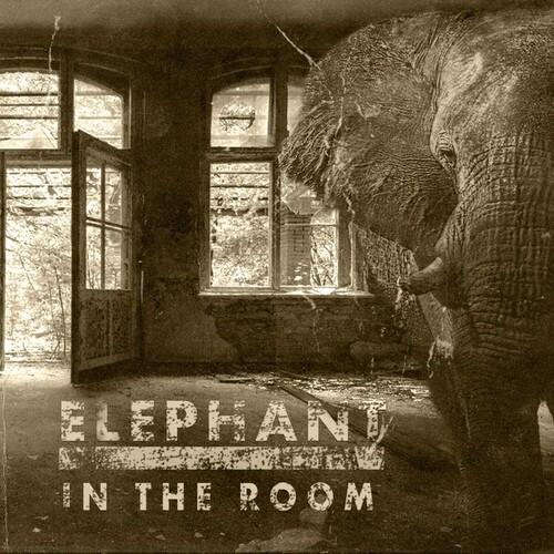 ELEPHANT IN THE ROOM