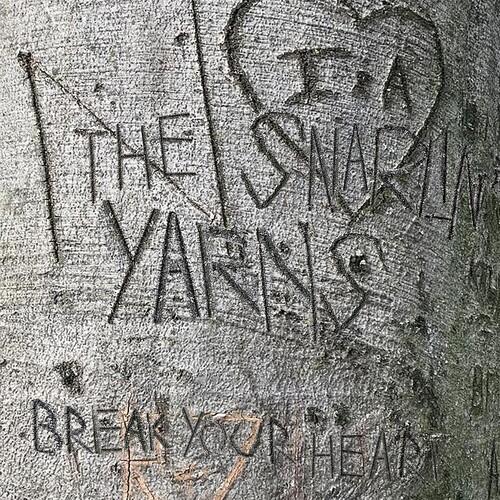 BREAK YOUR HEART