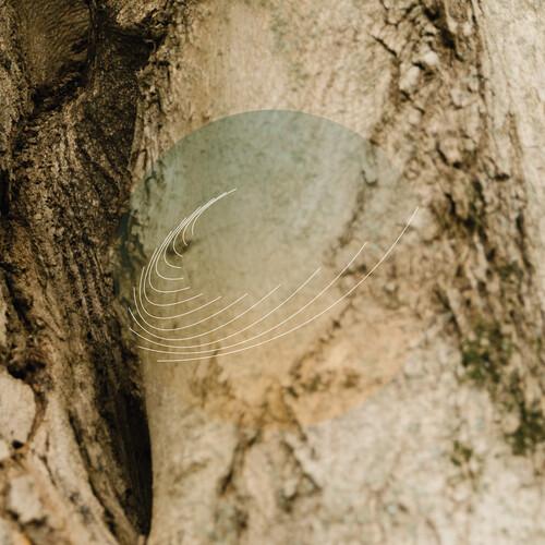 MAPLES ASH & OAKS: CEDARS INSTRUMENTALS