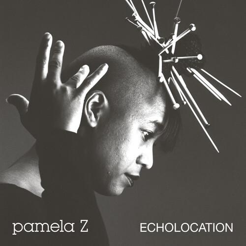 ECHOLOCATION (NATURAL SWIRL VINYL)