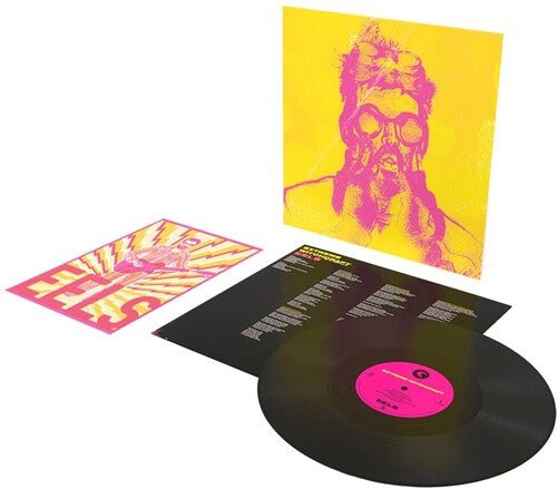 EELS - EXTREME WITCHCRAFT Vinyl LP