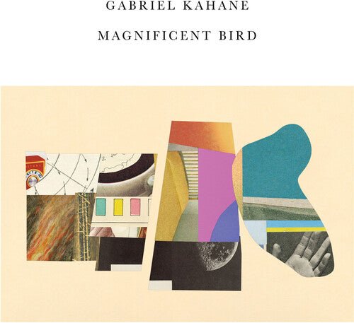 MAGNIFICENT BIRD